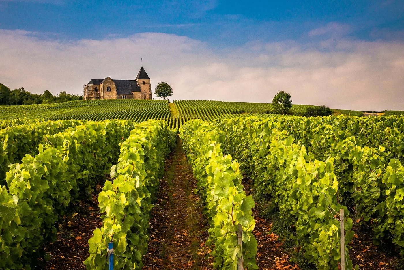 Vineyard rows and a stone chapel in France